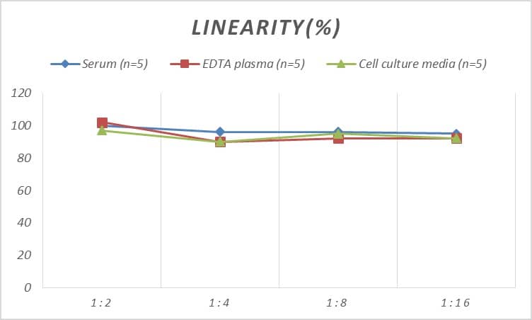 Mouse Bad ELISA Kit (Colorimetric)