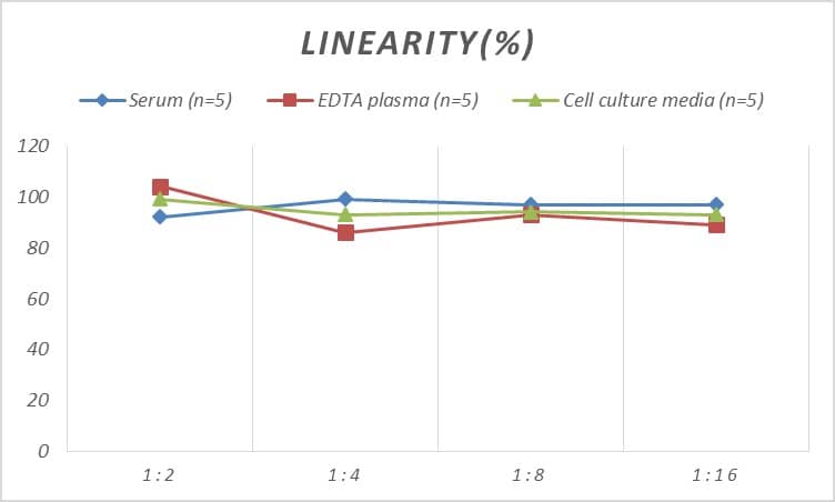 Rat Bad ELISA Kit (Colorimetric)