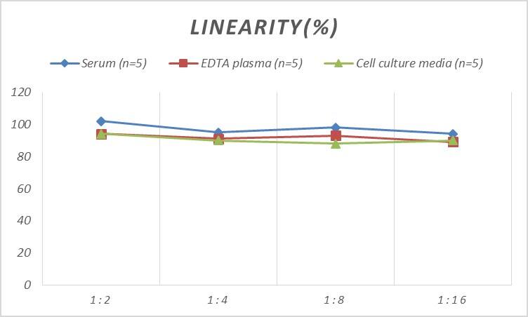 Rat BAFFR/TNFRSF13C ELISA Kit (Colorimetric)