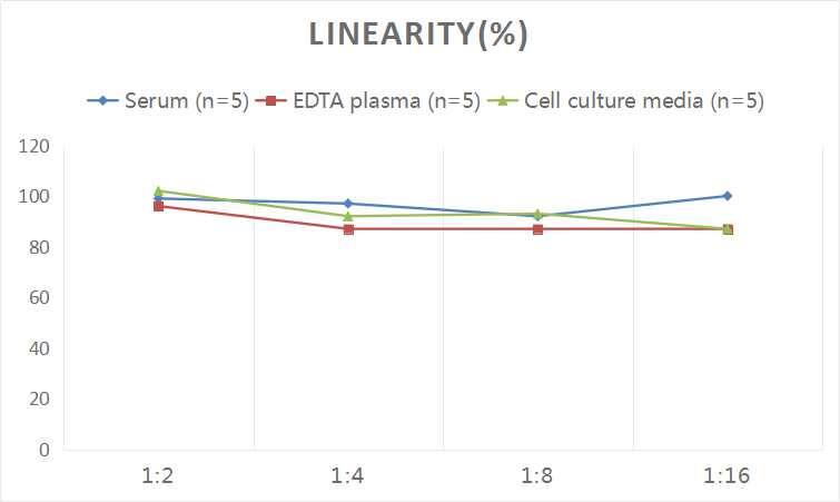 Human BAG3 ELISA Kit (Colorimetric)