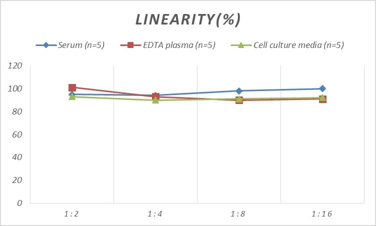 Human BAK ELISA Kit (Colorimetric)