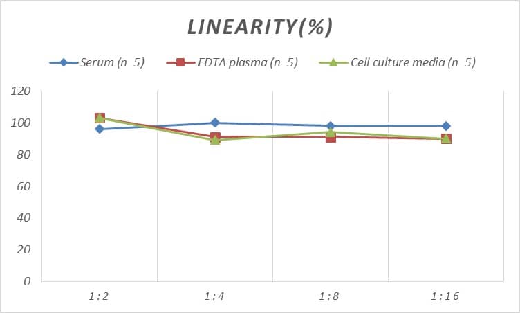 Rat BAK ELISA Kit (Colorimetric)