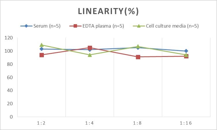 Human Bax ELISA Kit (Chemiluminescence)