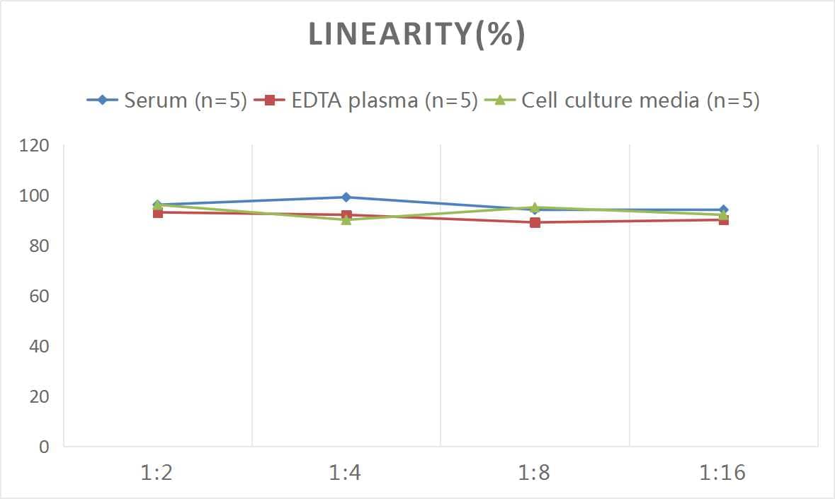 Mouse Bax ELISA Kit (Colorimetric)