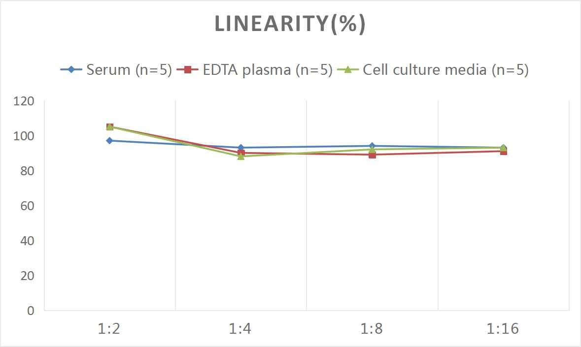 Rat Bax ELISA Kit (Colorimetric)