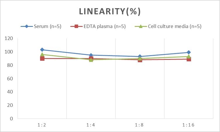 Human p130Cas/BCAR1 ELISA Kit (Colorimetric)