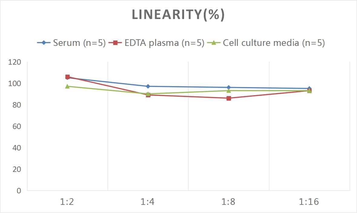 Human Ctip1 ELISA Kit (Colorimetric)