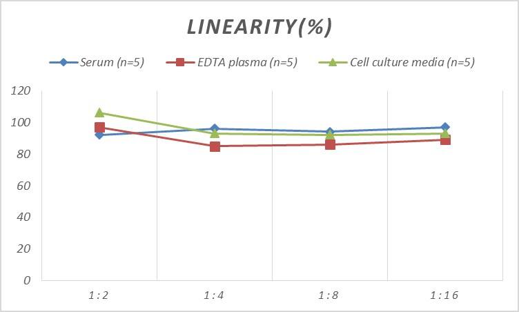 Mouse Bcl-10 ELISA Kit (Colorimetric)