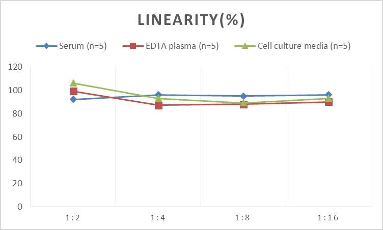 Rat Bcl-10 ELISA Kit (Colorimetric)