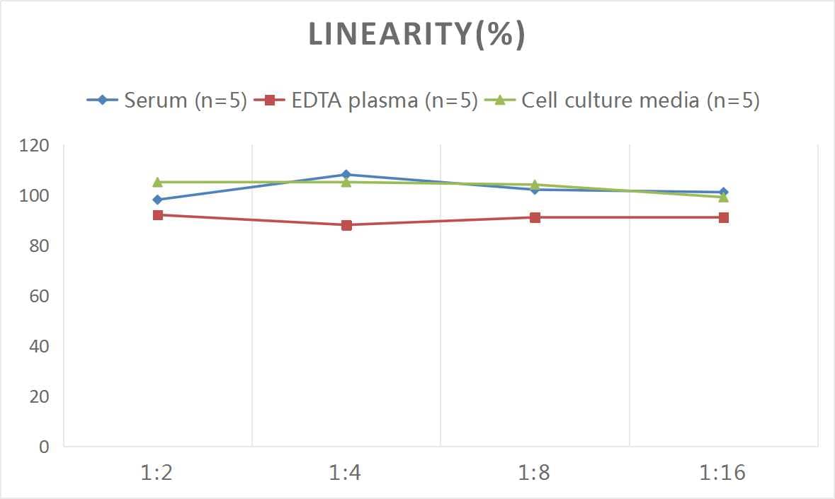 Mouse Bcl-2 ELISA Kit (Colorimetric)