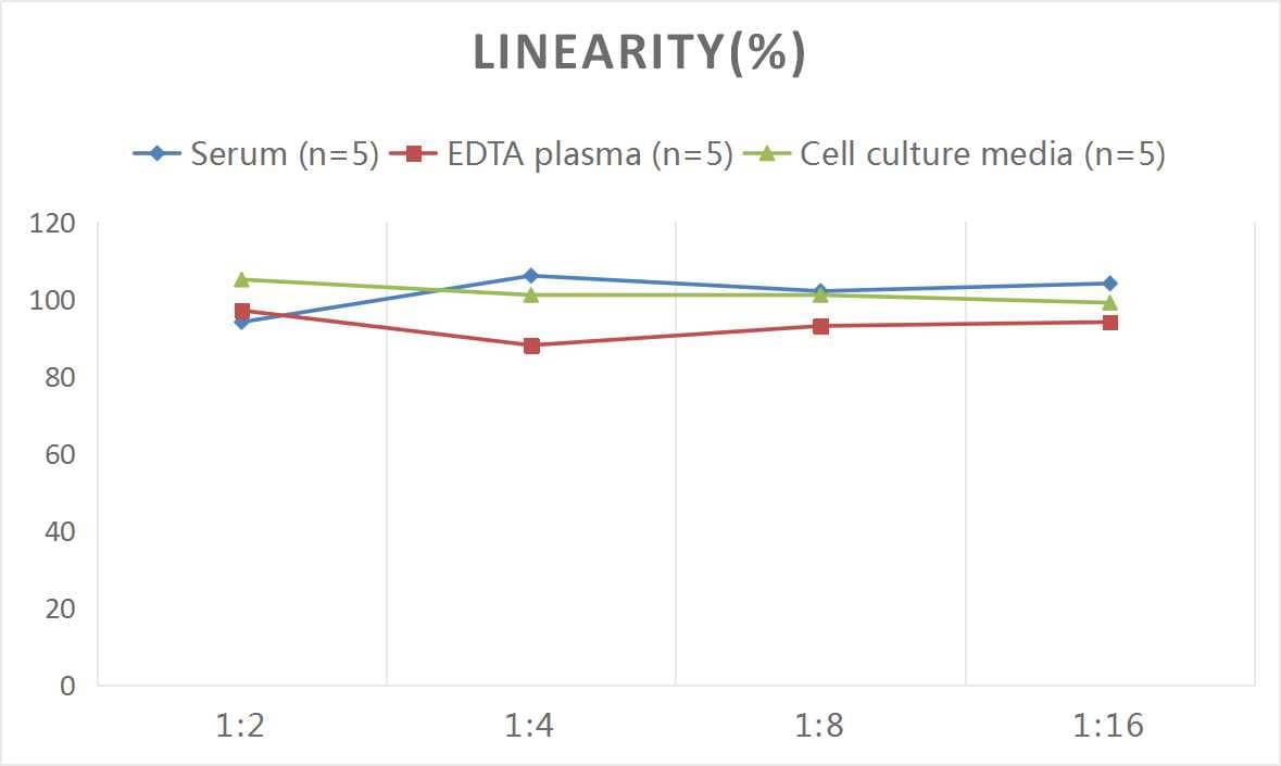 Rat Bcl-2 ELISA Kit (Colorimetric)