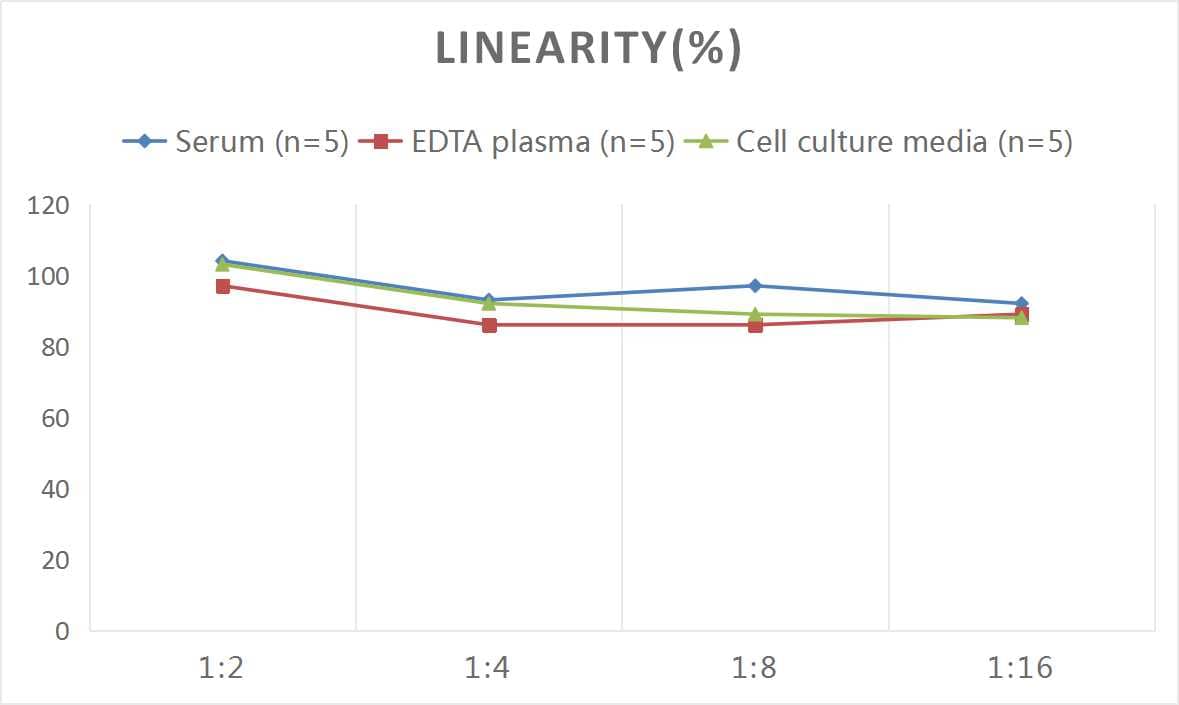 Human Bcl-2 related protein A1 ELISA Kit (Colorimetric)