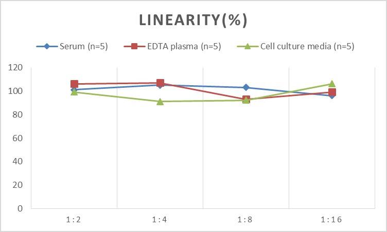 Human bcl-x ELISA Kit (Chemiluminescence)