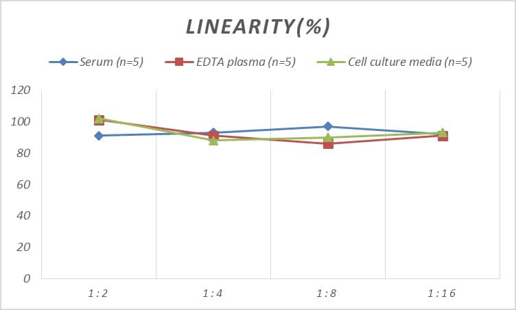 Human Bim ELISA Kit (Colorimetric)