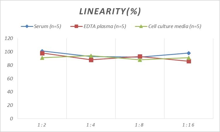 Human RhoGDI ELISA Kit (Colorimetric)