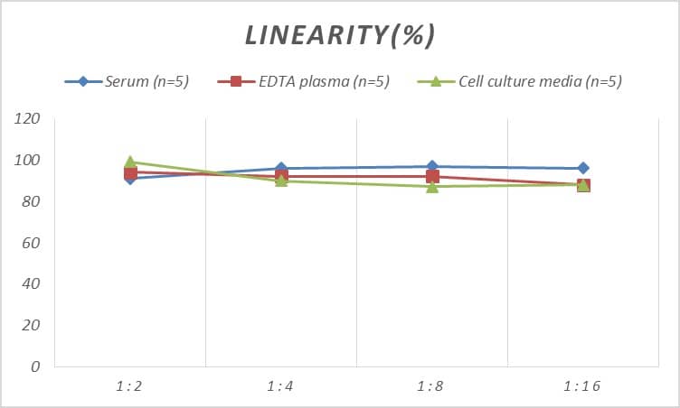 Human ASK1 ELISA Kit (Colorimetric)