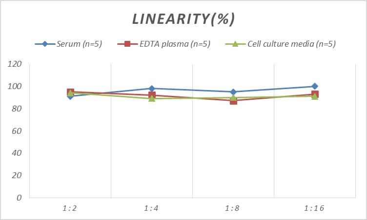 Rat Bcl3 ELISA Kit (Colorimetric)