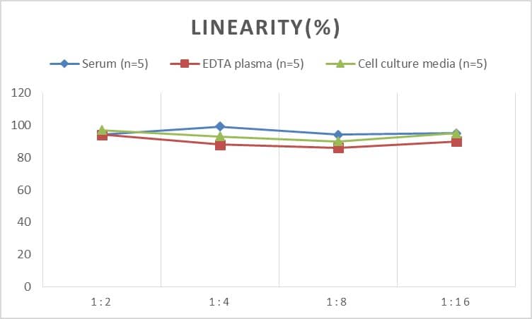 Human Bcl3 ELISA Kit (Colorimetric)