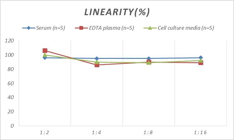 Mouse Bcl3 ELISA Kit (Colorimetric)