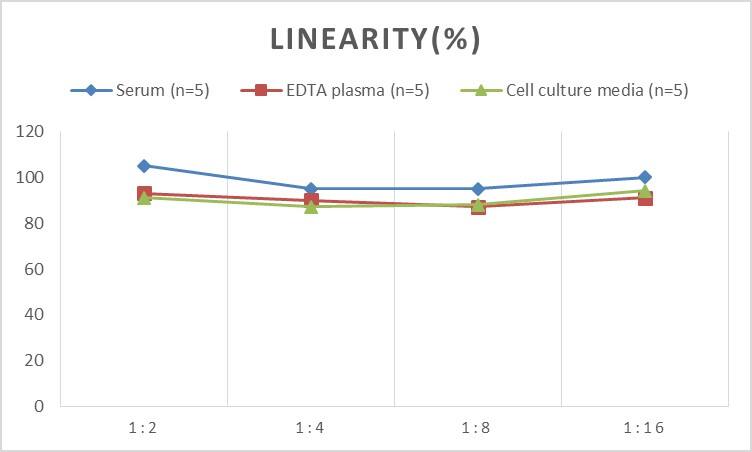 Rat Beclin 1 ELISA Kit (Colorimetric)