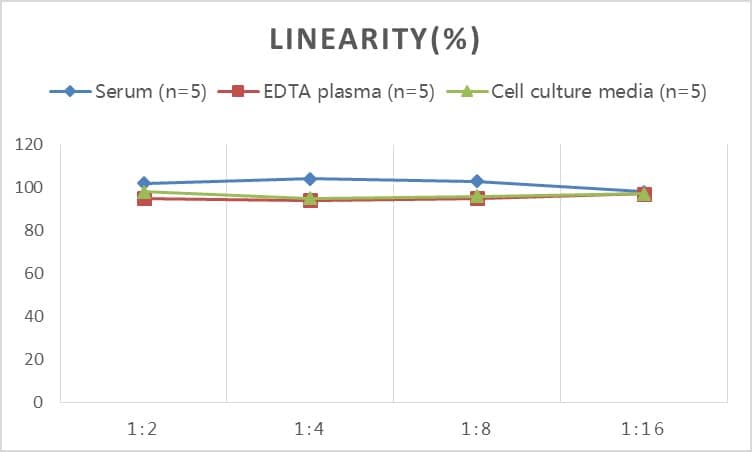 Rabbit FGF basic/FGF2/bFGF ELISA Kit (Colorimetric)