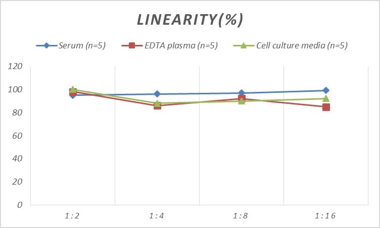 Human ZNF179 ELISA Kit (Colorimetric)