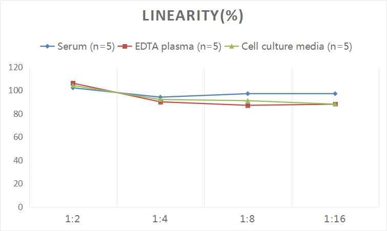 Human BID ELISA Kit (Colorimetric)