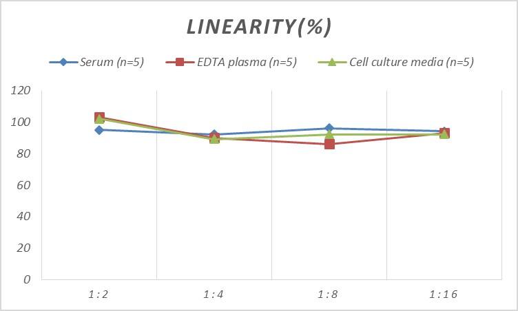 Mouse BID ELISA Kit (Colorimetric)