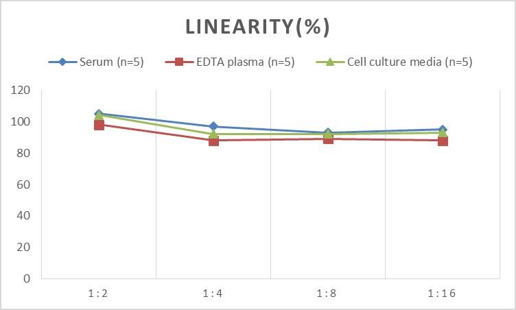 Rat BID ELISA Kit (Colorimetric)