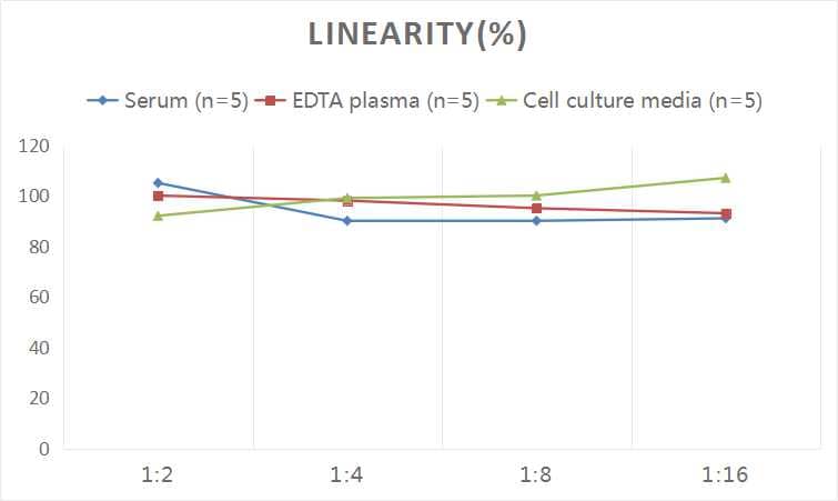 Human Bradykinin ELISA Kit (Colorimetric)