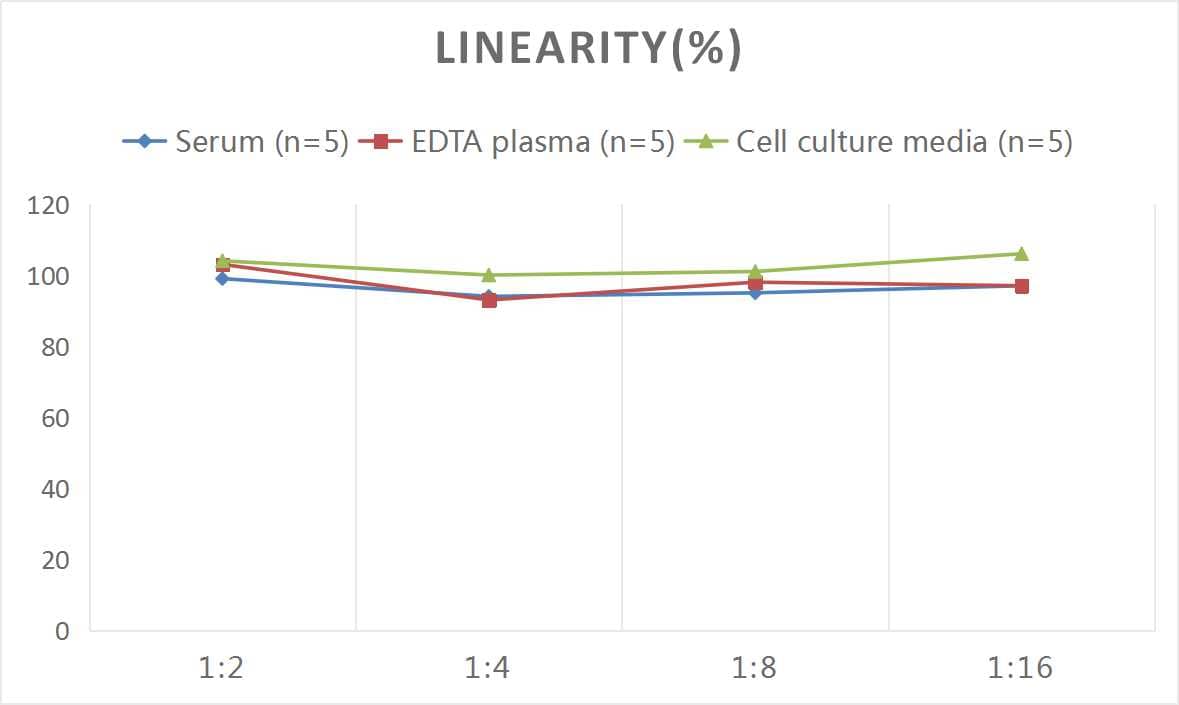 Mouse Bradykinin ELISA Kit (Colorimetric)