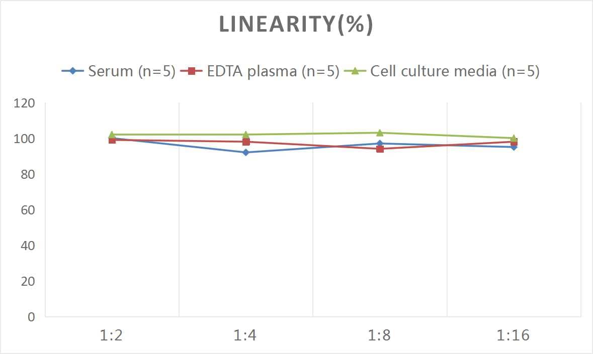 Rat Bradykinin ELISA Kit (Colorimetric)