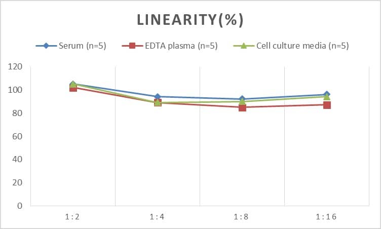 Human BLNK ELISA Kit (Colorimetric)