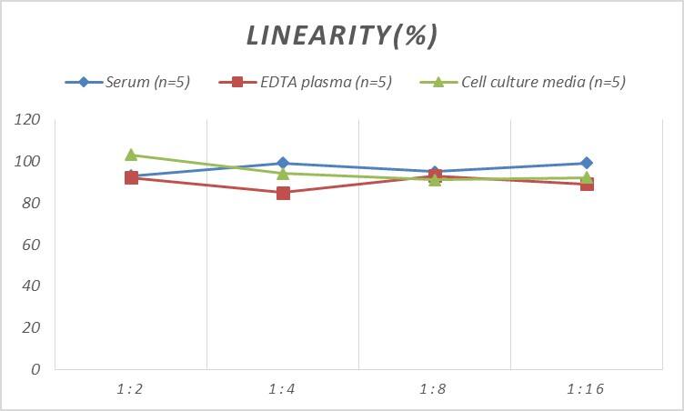 Human Biliverdin Reductase A/BLVRA ELISA Kit (Colorimetric)