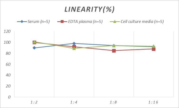 Human Biliverdin Reductase B/BLVRB ELISA Kit (Colorimetric)