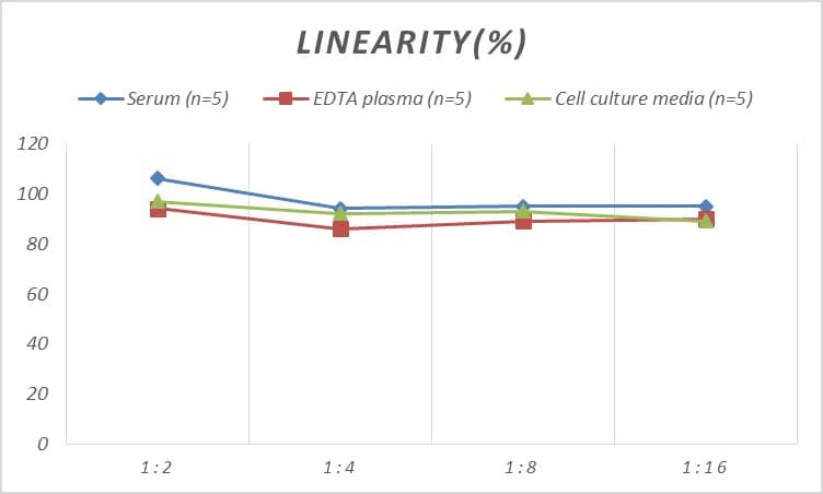 Human Bmf ELISA Kit (Colorimetric)