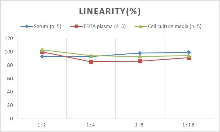 Rat Bmf ELISA Kit (Colorimetric)