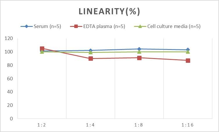 Mouse BMP-1/PCP ELISA Kit (Colorimetric)