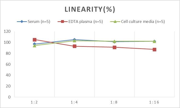 Rat BMP-1/PCP ELISA Kit (Colorimetric)