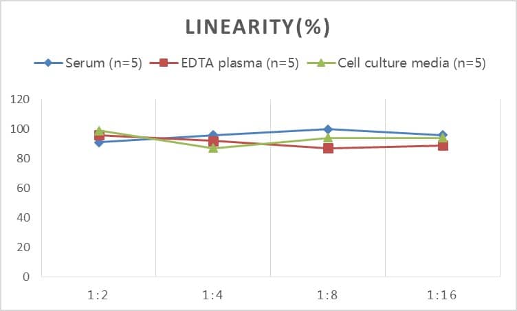 Rabbit BMP-2 ELISA Kit (Colorimetric)