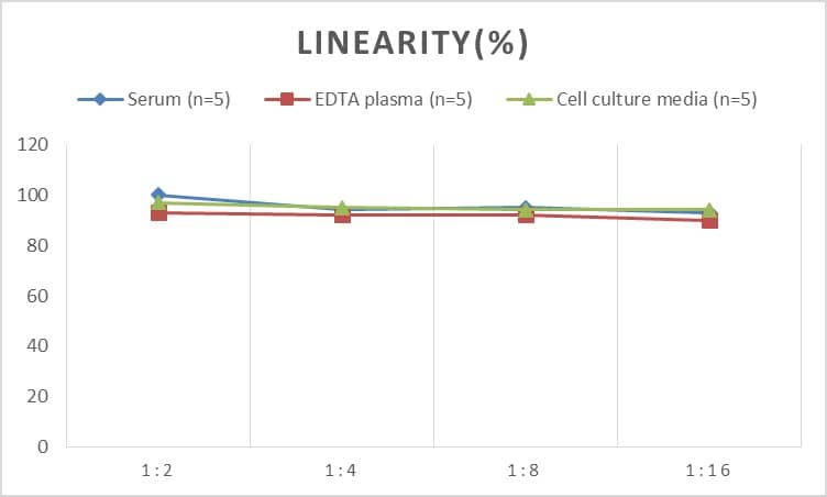 Rat BMP-3 ELISA Kit (Colorimetric)