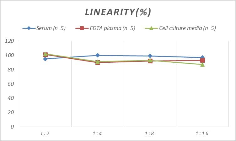 Rat BMP-5 ELISA Kit (Colorimetric)