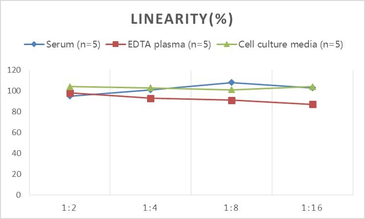 Rat BMP-6 ELISA Kit (Colorimetric)