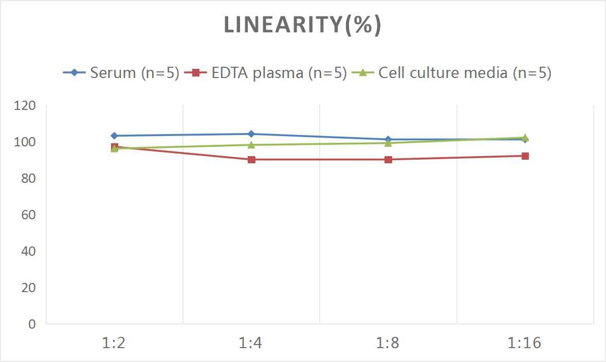 Rat BMP-7 ELISA Kit (Colorimetric)