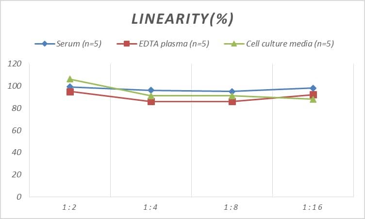 Mouse BMP-8b ELISA Kit (Colorimetric)