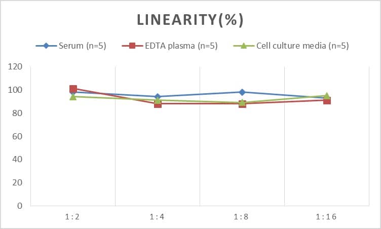 Rat BMPR-II ELISA Kit (Colorimetric)