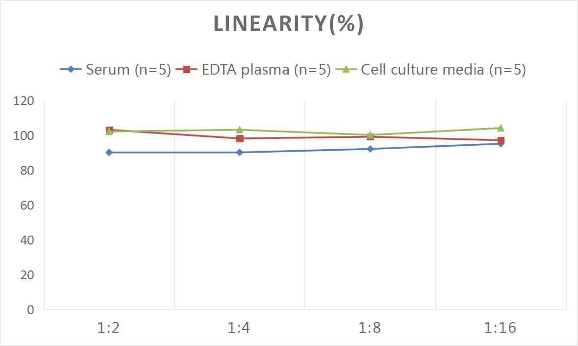 Mouse BNP ELISA Kit (Colorimetric)