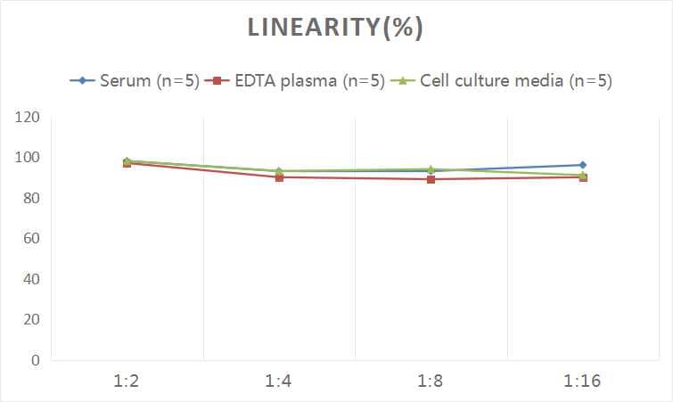 Human B-Raf ELISA Kit (Colorimetric)