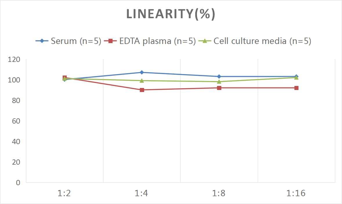 Mouse CXCL14/BRAK ELISA Kit (Colorimetric)