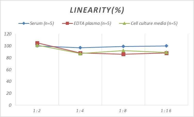 Rat CXCL14/BRAK ELISA Kit (Colorimetric)